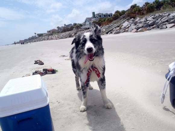 Bruer on the Beach
